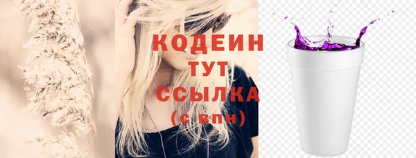 mdpv Вяземский