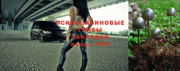 MESCALINE Гусь-Хрустальный
