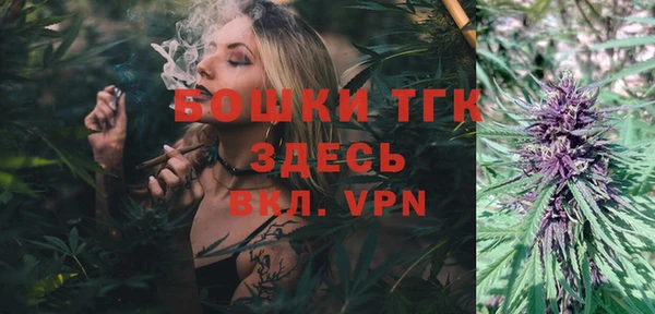 mdpv Вяземский