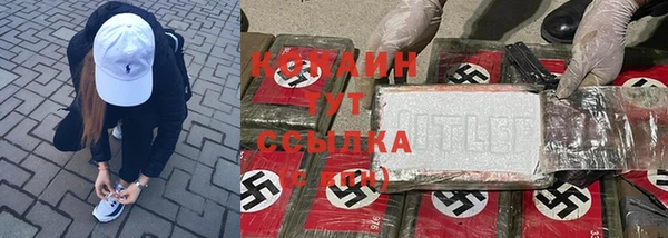 apvp Вязьма